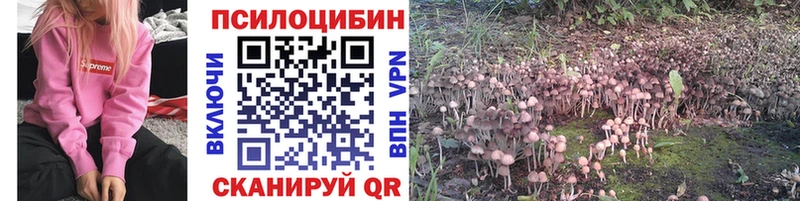 закладки  Шелехов  Галлюциногенные грибы Cubensis 